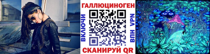 купить  сайты  Элиста  Галлюциногенные грибы Psilocybe 