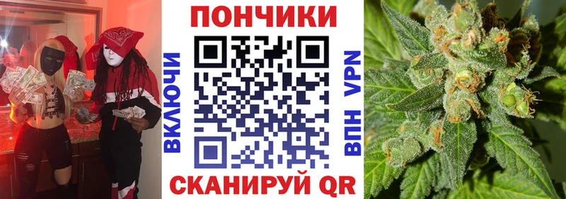 наркотики  Элиста  Канабис марихуана 